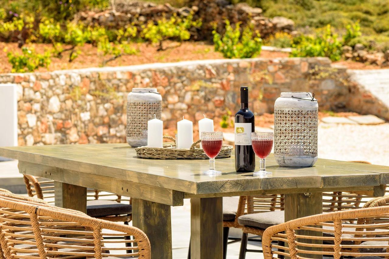 Paros Villa Blue Senses Aliki  Bagian luar foto