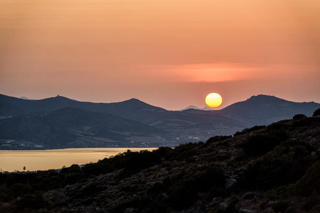 Paros Villa Blue Senses Aliki  Bagian luar foto
